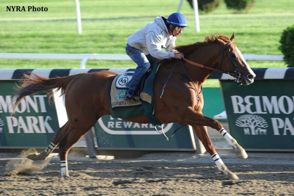 Understanding Thoroughbreds Workouts Workout Schedule Horse Racing The Rail Blog New York Times