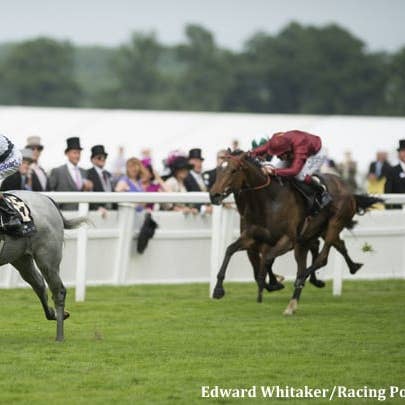 'A Score To Be Settled': Snow Lantern Will Try To Go One Better Than Her Dam In Friday's Falmouth Stakes - Horse Racing News - Vimarsana News