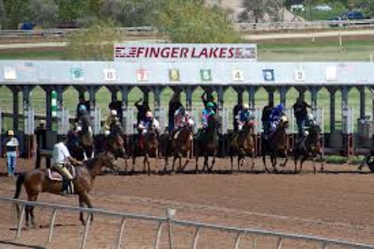 Finger lakes horse racing betting odds capricorn crypto currency