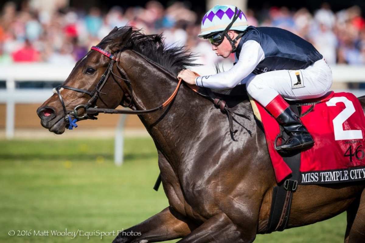 Royal Ascot Schedule: When Are The U.S.-Based Horses Running? - Horse Racing News Paulick Report Royal Ascot Schedule: When Are The U.S.-Based Horses Running? - Horse Racing News Paulick Report
