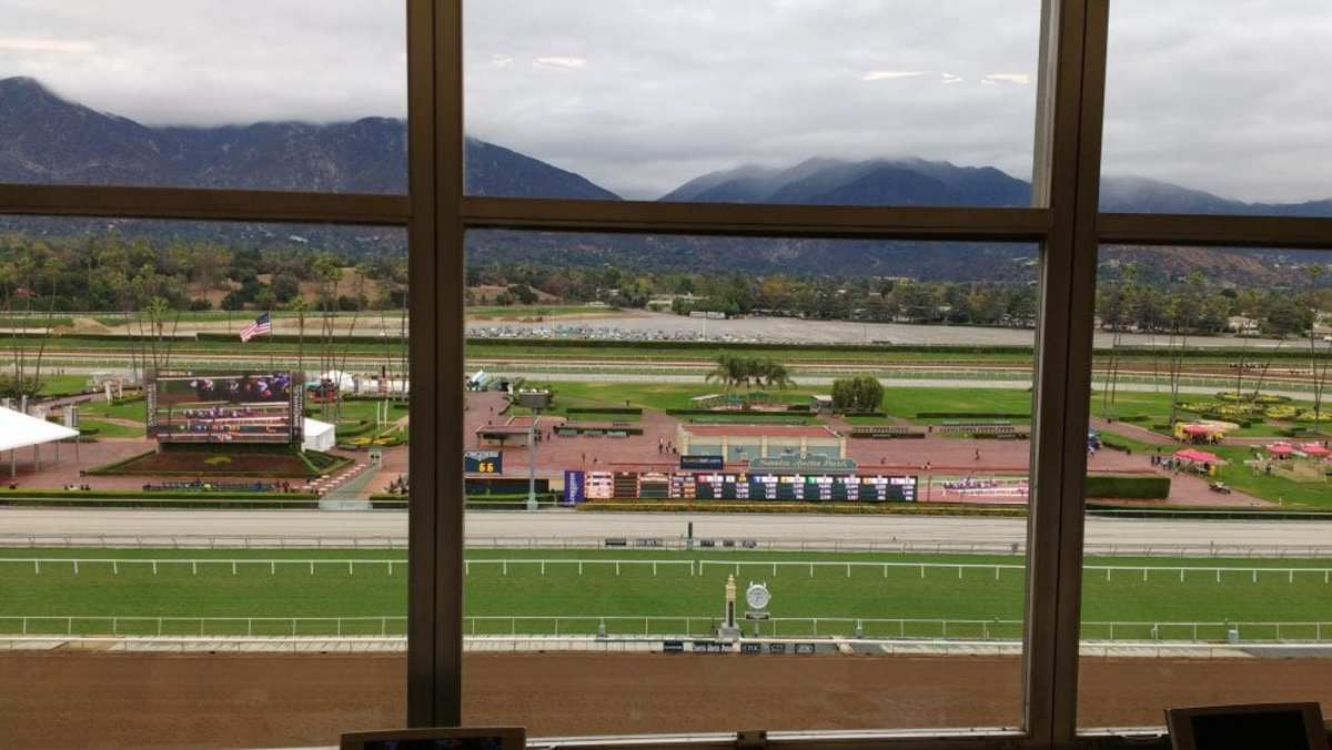 tvg racing form update deal reached allowing tvg to televise breeders tvg racing form update deal reached allowing tvg to televise breeders