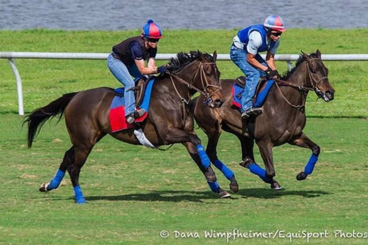 Miss Temple City breezes at Palm Meadows on Feb. 18