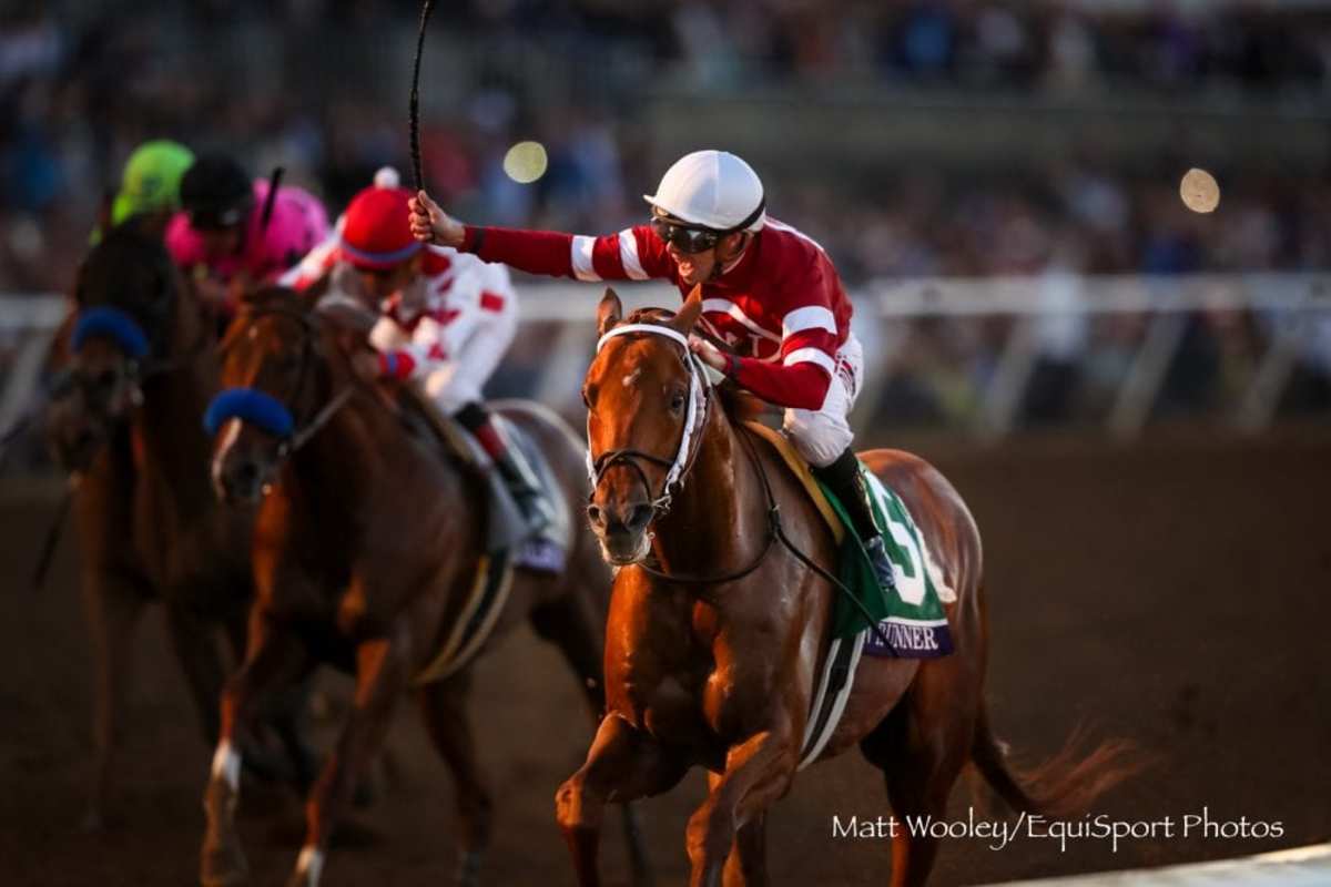 Gun Runner All The Way In Emphatic Breeders' Cup Classic Victory