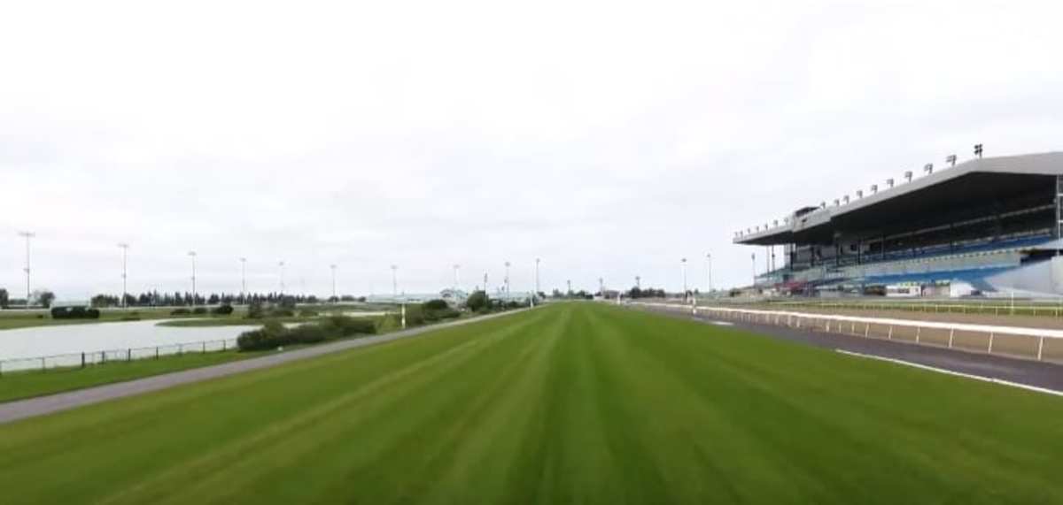Woodbine Track Woodbine Track