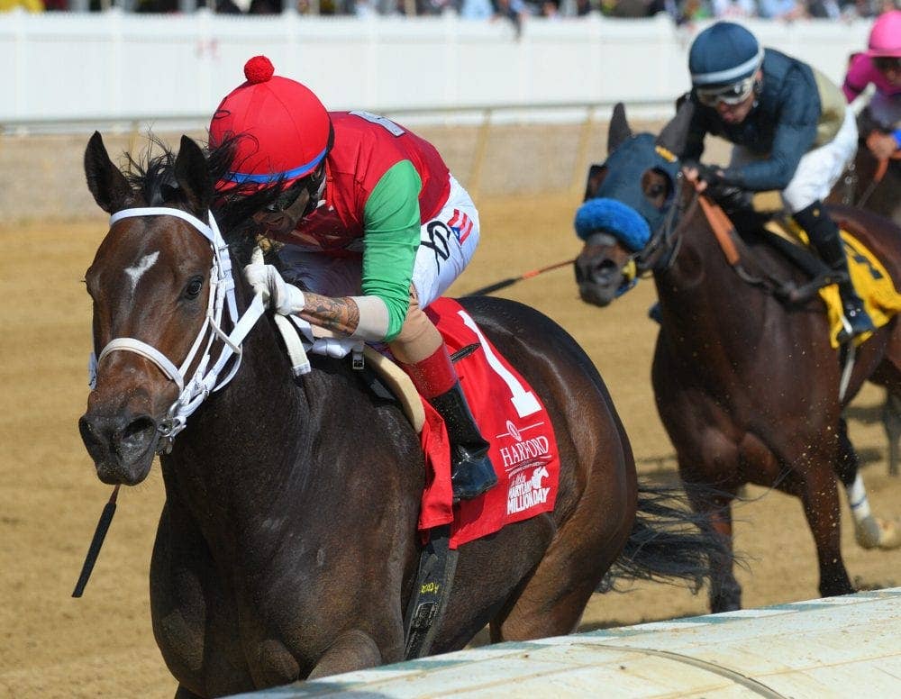 Quality Runs Deep Among Shine Again Nominations At Pimlico - Horse Racing News - Vimarsana News