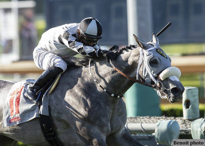 Equibase Analysis: Keeper Ofthe Stars Able To Best Male Rivals In San Francisco Mile - Horse Racing News - Vimarsana News