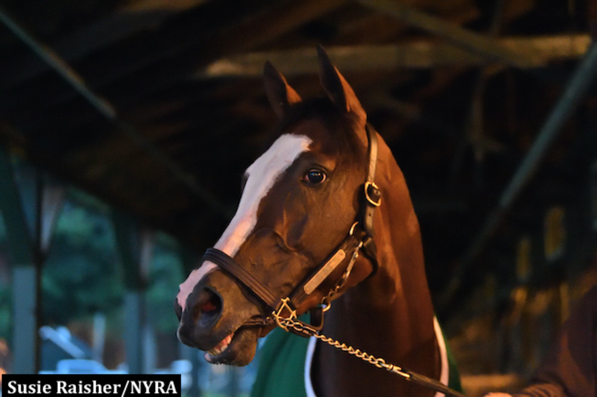 Tiz The Law Beats The Rain, Has Final Kentucky Derby Breeze Horse