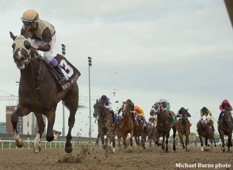 Sovereign Awards: Mighty Heart Voted Canada's Horse Of The Year - Horse Racing News - Vimarsana News