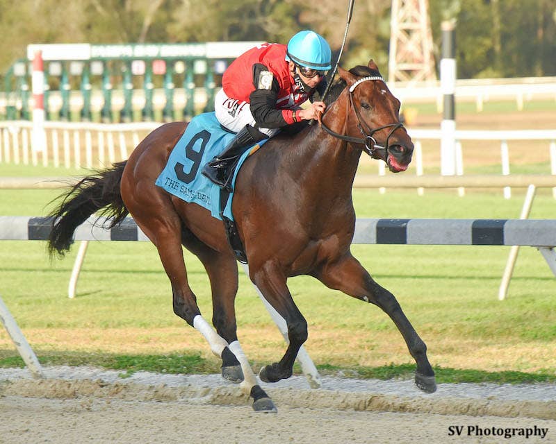 Equibase Analysis: King Of Dreams Best Chance To Upset Candy Man Rocket In Tampa - Horse Racing News - Vimarsana News