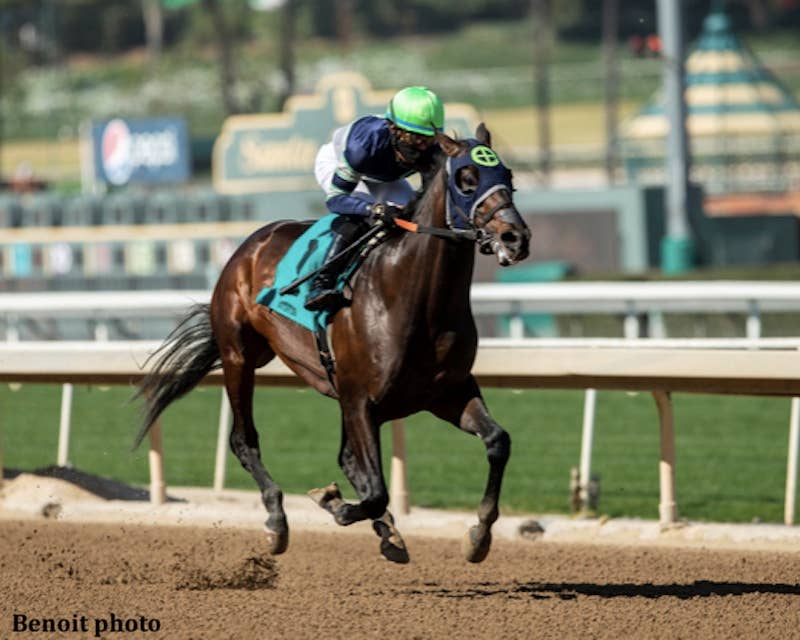 Dream Shake Crushes Santa Anita Maiden Field; Highly Touted Bezos Seventh - Horse Racing News - Vimarsana News
