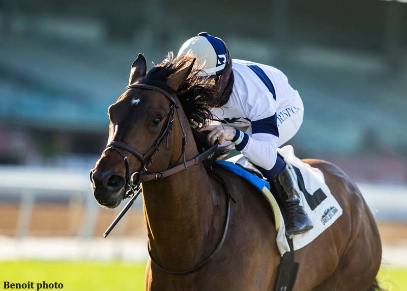 Hit The Road Gives Blacker First Graded Stakes Win In Thunder Road - Horse Racing News - Vimarsana News