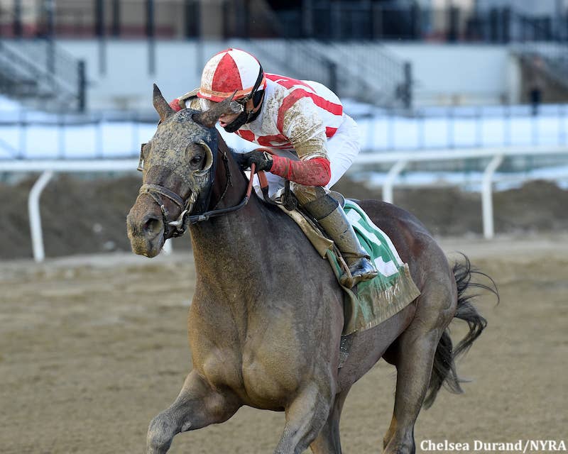 With Wood Memorial On Calendar, Risk Taking Posts First Drill Since Withers Victory - Horse Racing News - Vimarsana News