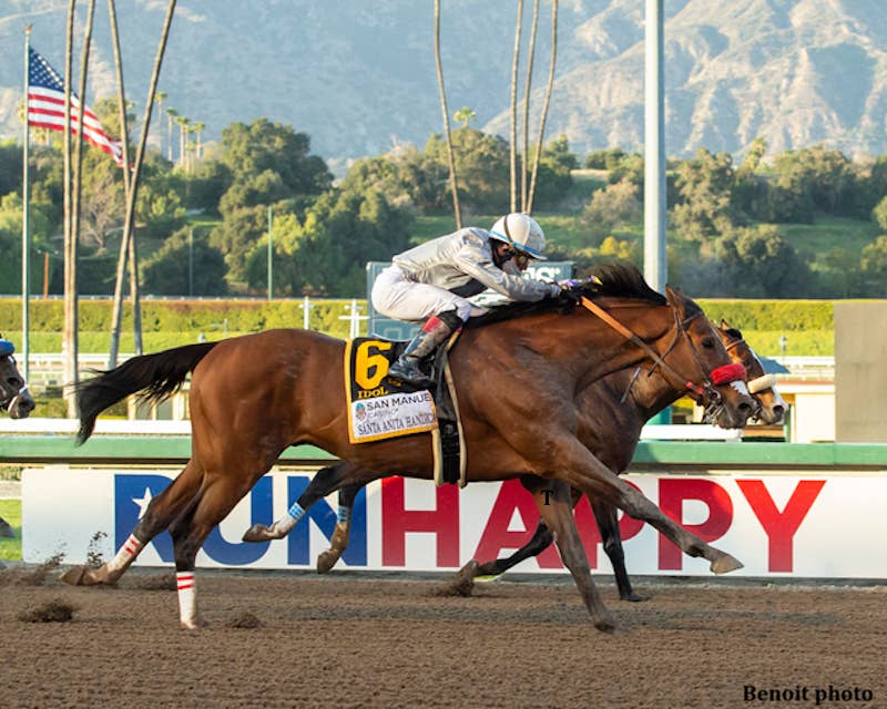 Bloodlines Presented By Mill Ridge Farm: Idol Was A Milestone Winner For Top Sire Curlin - Horse Racing News - Vimarsana News