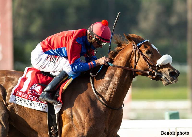 'We're Coming With A Beast': McPeek Says Swiss Skydiver Ready To Take On Monomoy Girl In Apple Blossom - Horse Racing News - Vimarsana News