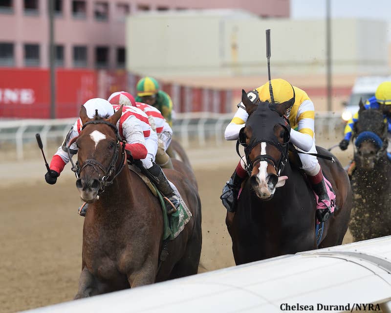Weyburn Fights Back Late To Win Gotham At 46-1 - Horse Racing News - Vimarsana News