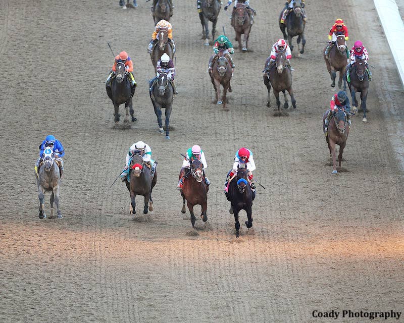 Horseplayers Sue Baffert, Zedan Racing Over Medina Spirit Drug Test - Horse Racing News - Vimarsana News