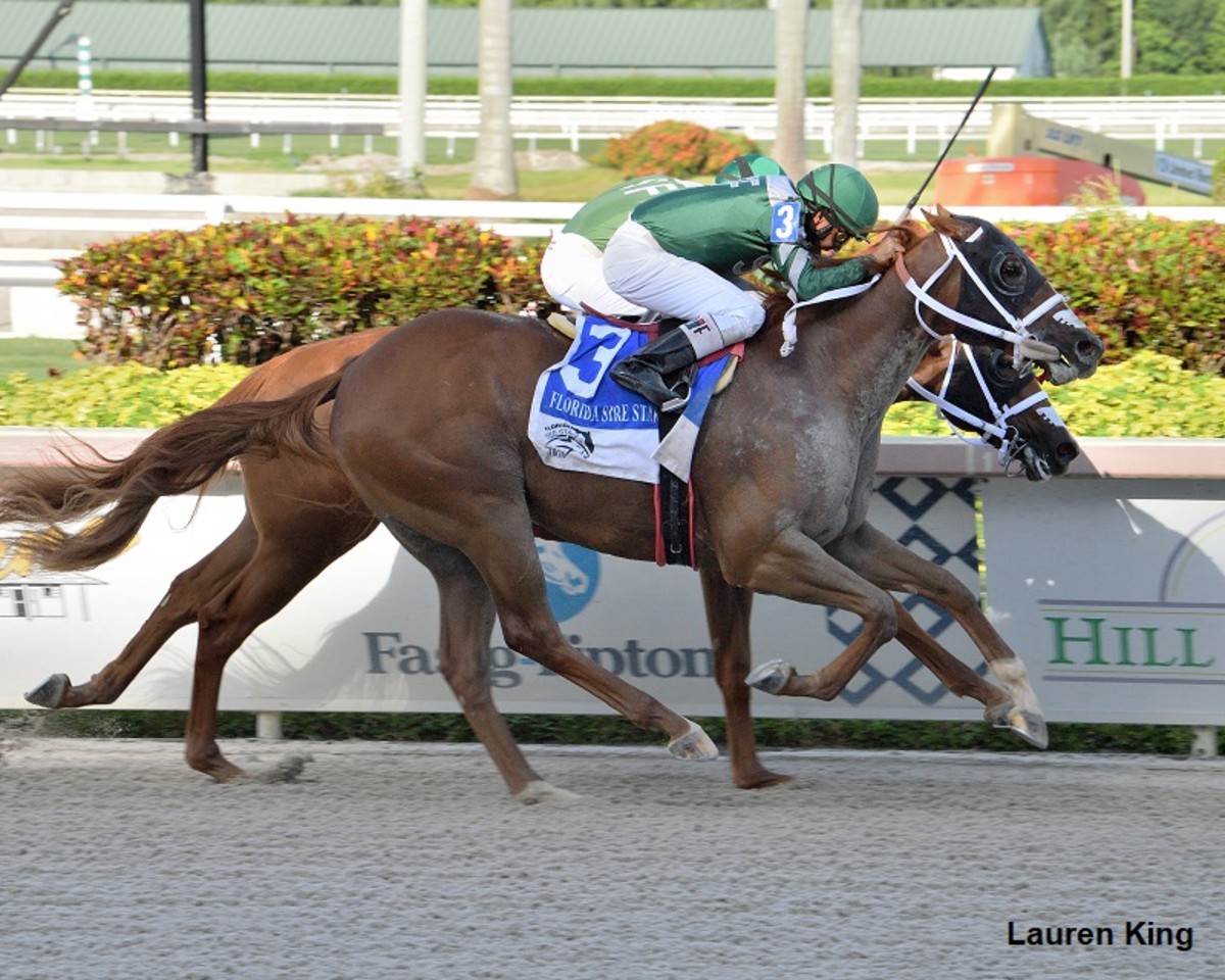 Cajun S Magic Delivers A Win In Dr Fager At Gulfstream Horse Racing News Paulick Report
