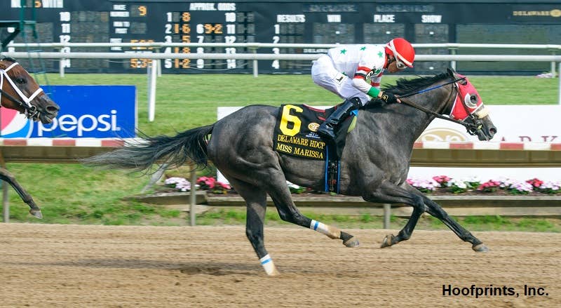 Miss Marissa Much The Best In Delaware Handicap - Horse Racing News - Vimarsana News